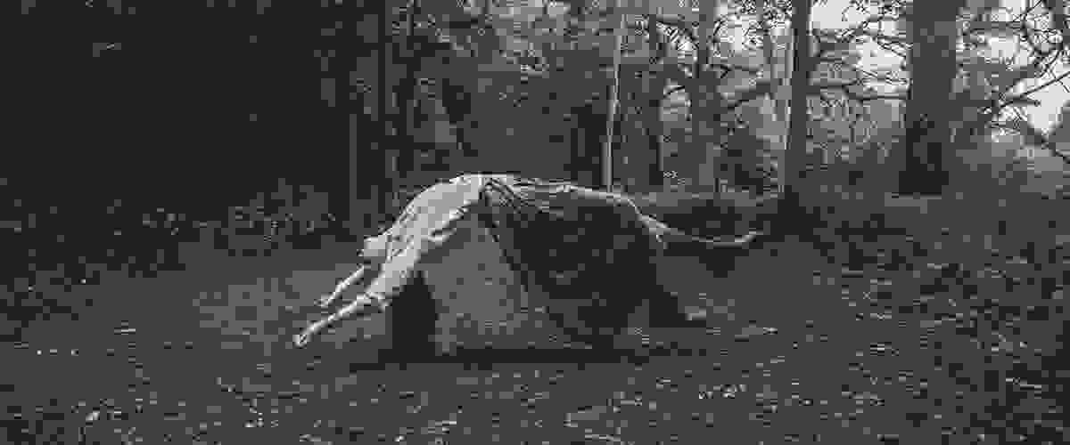 Levitating woman in woods